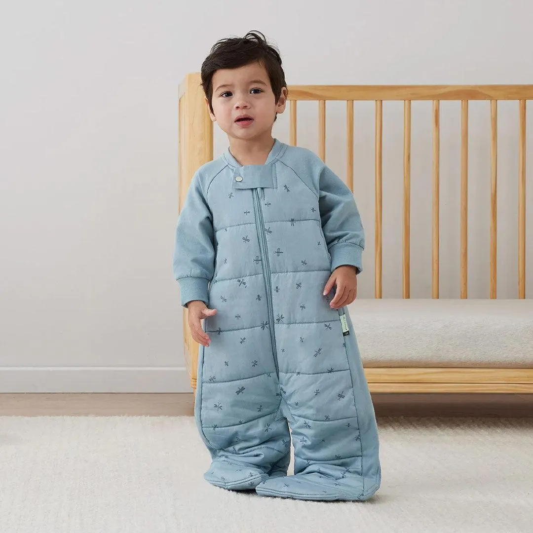 ergoPouch - Organic Winter Long Sleeved 2 In 1 Sleeping Suit Bag - 3.5 TOG - Dragonflies