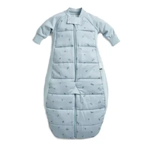 ergoPouch - Organic Winter Long Sleeved 2 In 1 Sleeping Suit Bag - 3.5 TOG - Dragonflies